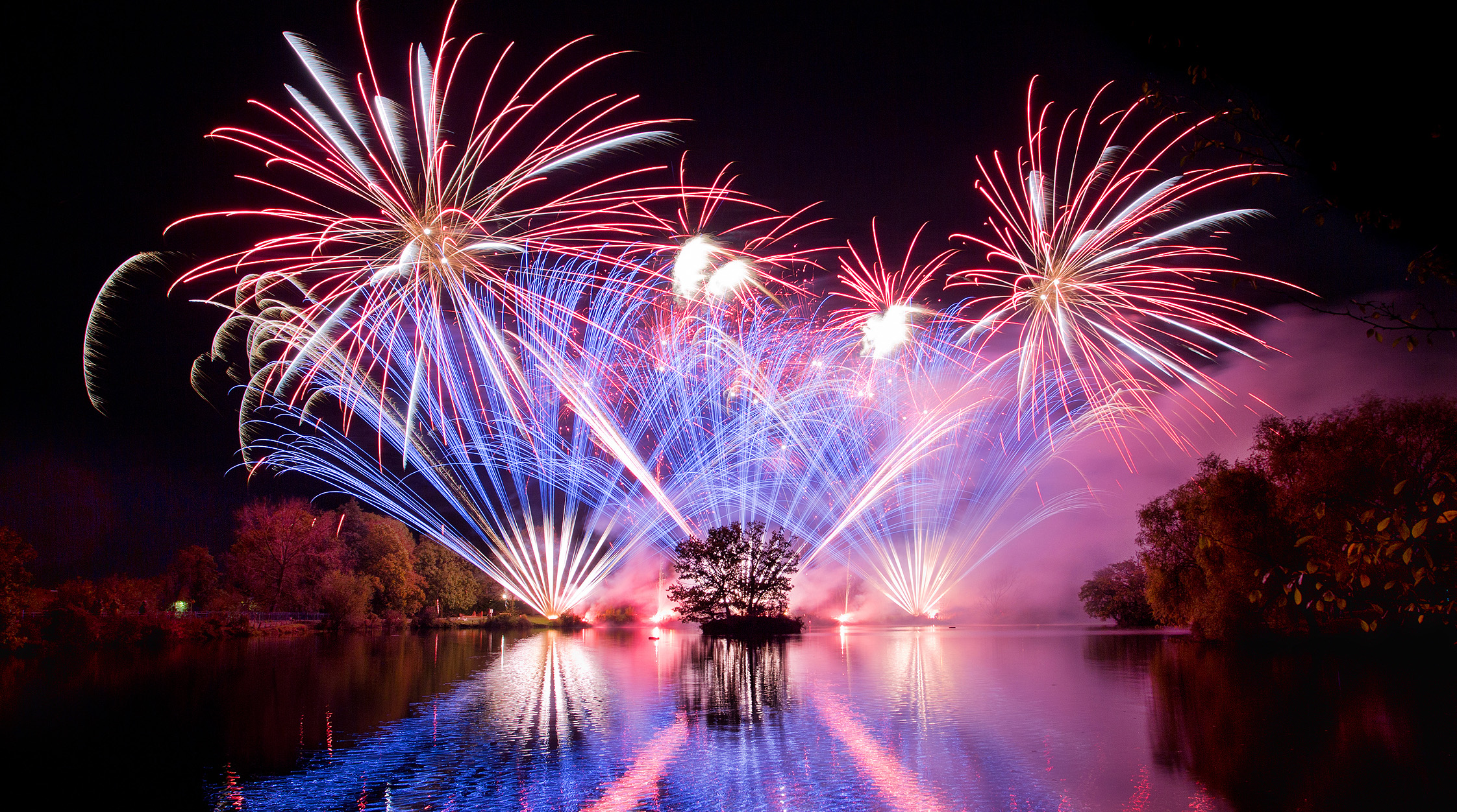 Professional Wedding Firework Displays