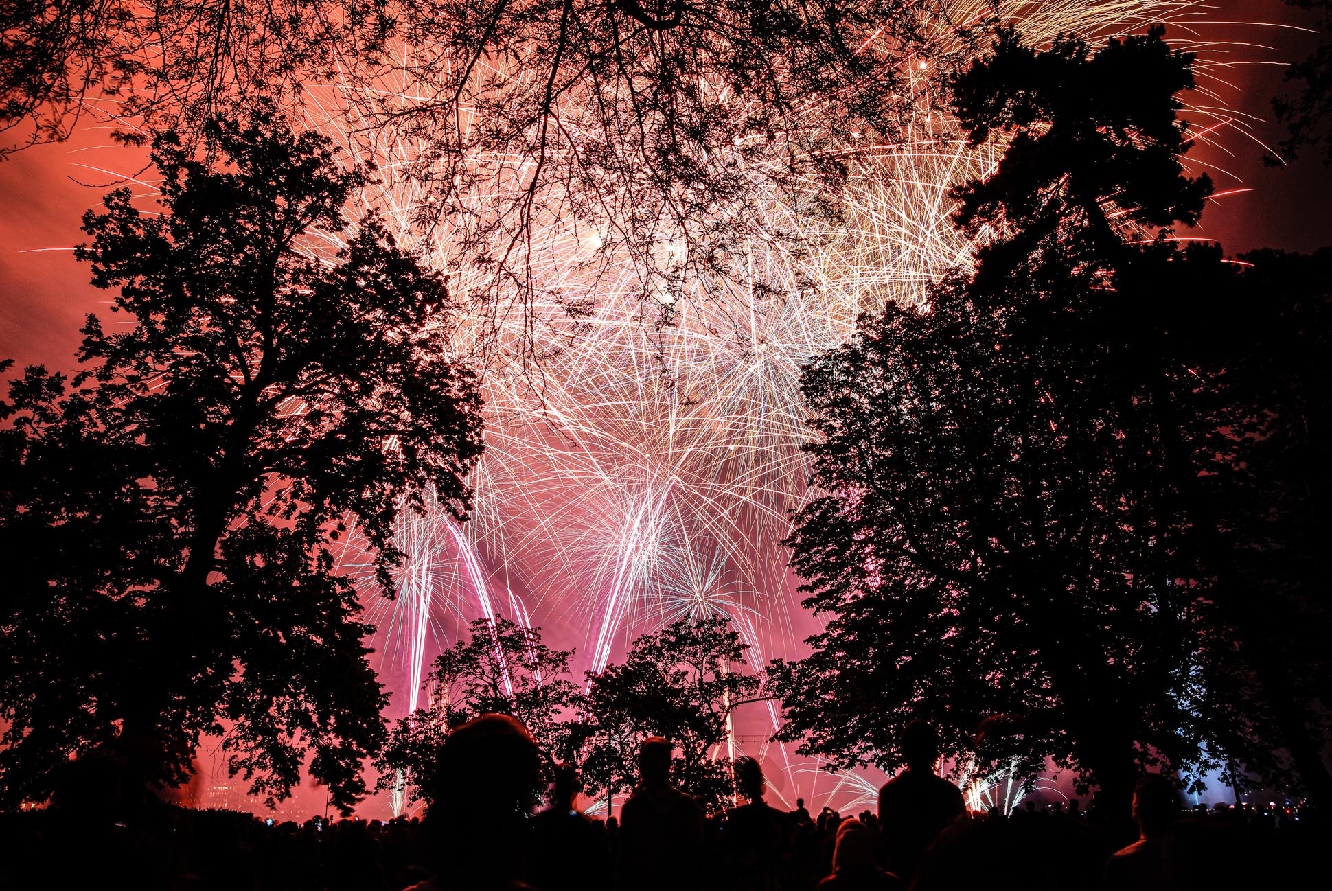 Guy Fawkes Firework Displats - The 5th November